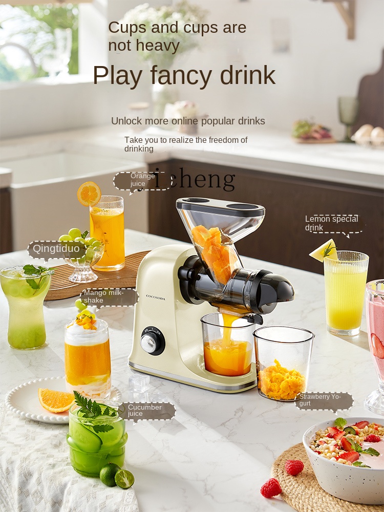 เครื่องคั้นน้ำผลไม้ความเร็วต่ำ - Juicer บทวิจารณ์และราคา