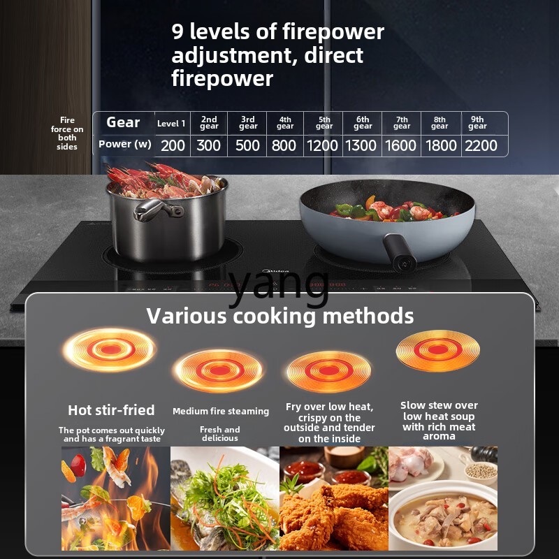 เตาแม่เหล็กไฟฟ้า CX แบบฝังสองห - Induction Cooker บทวิจารณ์และราคา