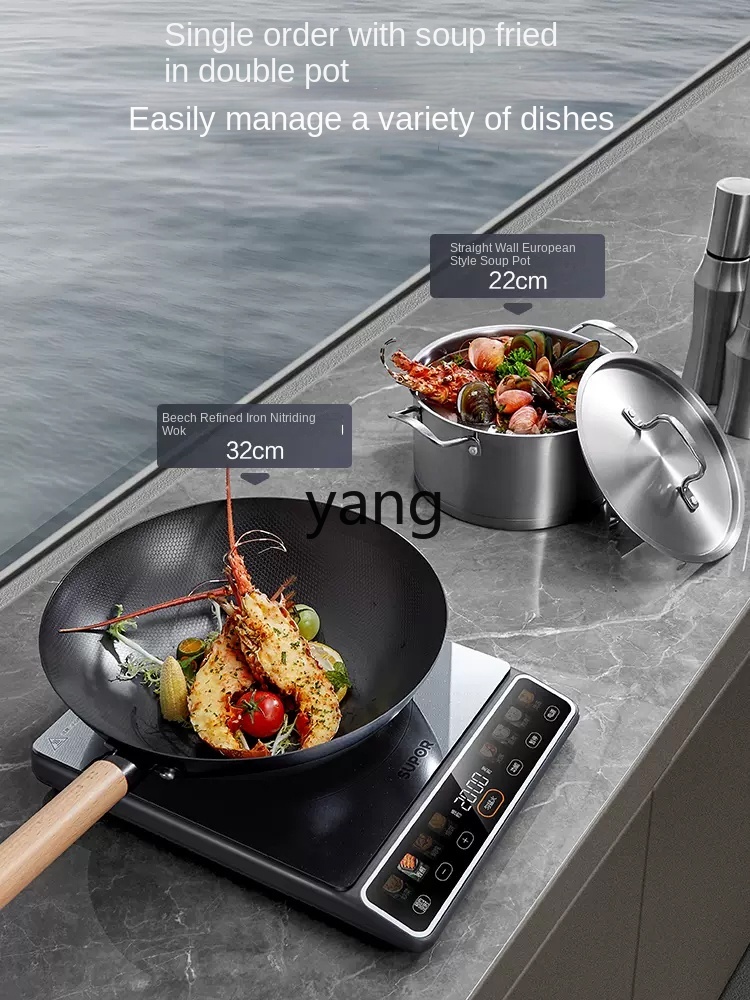 เตาแม่เหล็กไฟฟ้า LMM กำลังสูง  - Induction Cooker บทวิจารณ์และราคา
